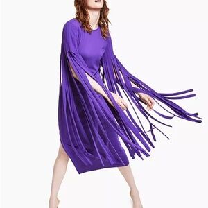 Elegant Purple Fringe Dress INC Petite Large